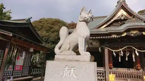 一瓶塚稲荷神社の狛犬