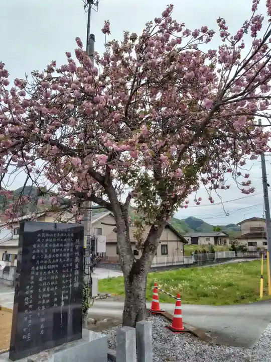 多宝寺(埼玉県)