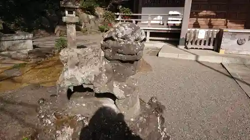 貫井神社の狛犬