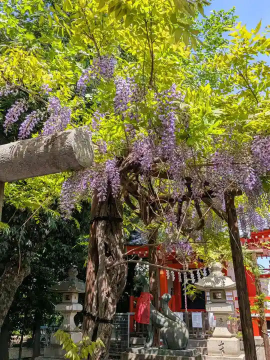 藤神稲荷神社(東京都)