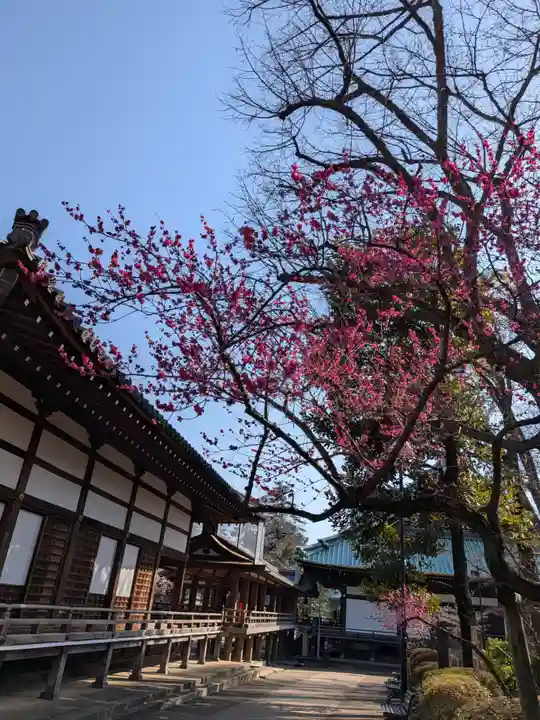 妙法寺(東京都)
