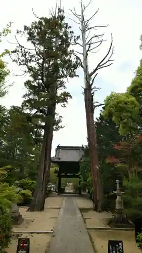 井山 宝福寺の建物その他