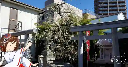 堀切天祖神社の鳥居