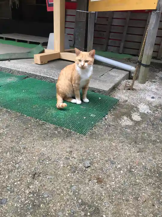 縣主神社の動物