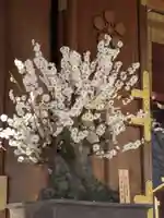 湯島天満宮(東京都)