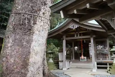 玉園稲荷神社(長崎県)
