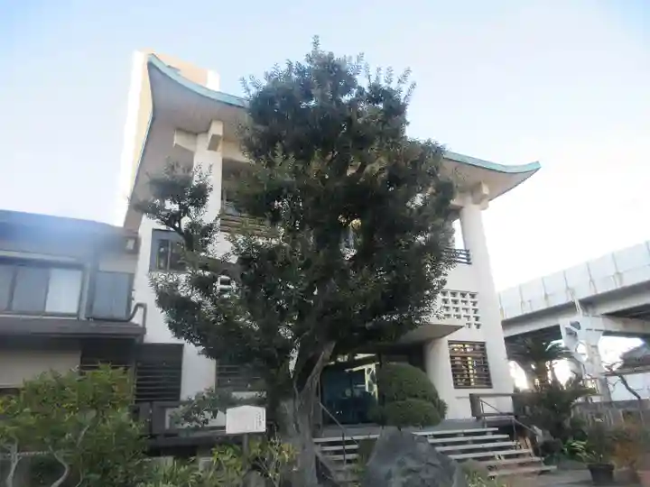 妙蓮寺(東京都)