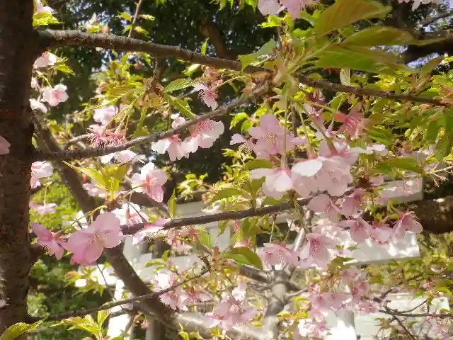 御霊神社の自然