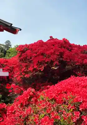 長岡天満宮(京都府)