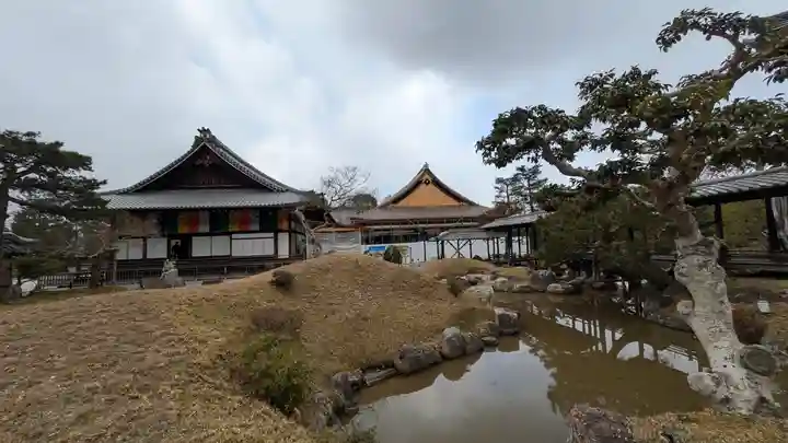 高台寺(高台寿聖禅寺・高臺寺)(京都府)