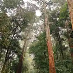 鹿島神宮(茨城県)