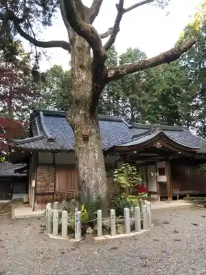 小槻大社の自然