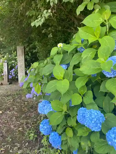 下野 星宮神社(栃木県)