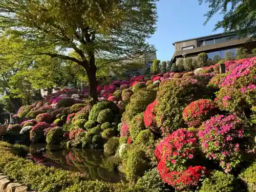 根津神社の{uncategorized: "未分類", other: "その他", undefined: "問題あり", building: "その他建物", grave: "お墓", sacred_gate: "鳥居", guardian: "狛犬", statue: "像", buddha: "仏像", history: "歴史", nature: "自然", garden: "庭園", animal: "動物", pagoda: "塔", temizu: "手水舎", mountain_gate: "山門・神門", sanctuary: "本殿・本堂", subordinate: "末社・摂社", art: "芸術", scenery: "景色", jizo: "地蔵", ema: "絵馬", goshuin: "御朱印", omikuji: "おみくじ", items: "授与品その他", amulet: "お守り", goshuincho: "御朱印帳", eats: "食事", festival: "お祭り", votive_dance: "神楽", shichigosan: "七五三参", wedding: "結婚式", experience: "体験その他", initially: "初詣", around: "周辺", anti_infection: "感染症対策"}