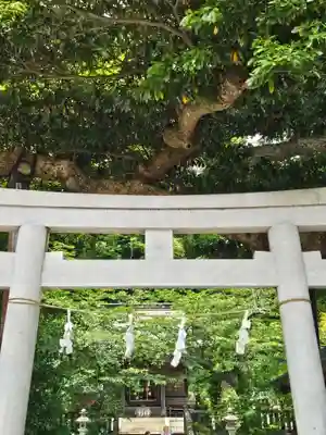 御霊神社(神奈川県)