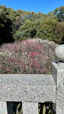 道明寺天満宮(大阪府)