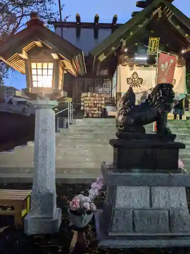 札幌諏訪神社の狛犬