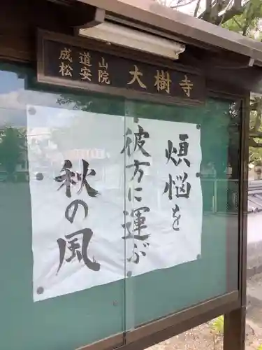 大樹寺（松安院大樹寺）のその他建物