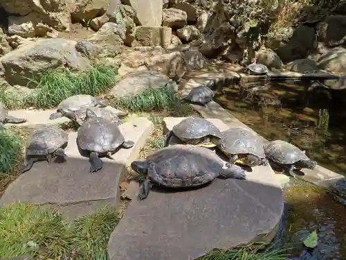 成田山川越別院(埼玉県)