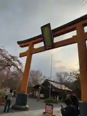 平野神社の鳥居