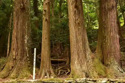 栗枝渡神社(徳島県)