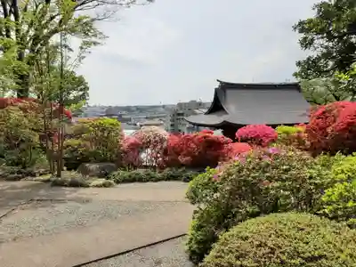 等覚院(神奈川県)
