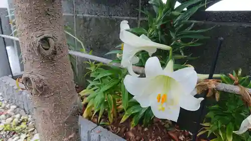 明徳稲荷神社の自然