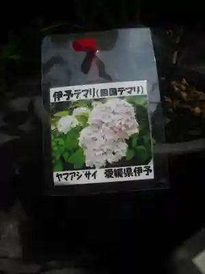 光則寺(神奈川県)