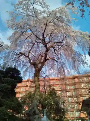 泰心院(宮城県)