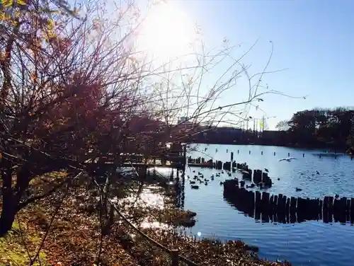 千束八幡神社の周辺
