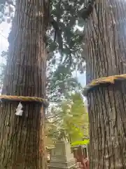 八幡朝見神社の自然