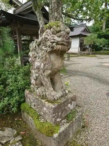 宇良神社(浦嶋神社)の狛犬