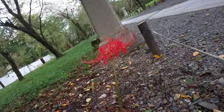 平野神社(京都府)