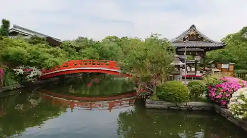 神泉苑の庭園