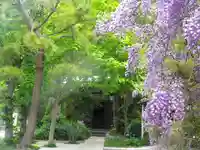 別願寺のその他建物