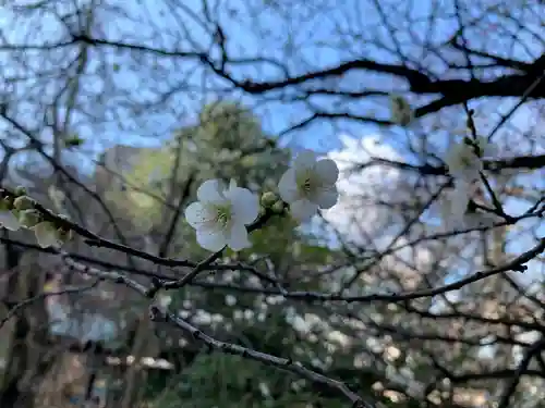 牛天神北野神社(東京都)