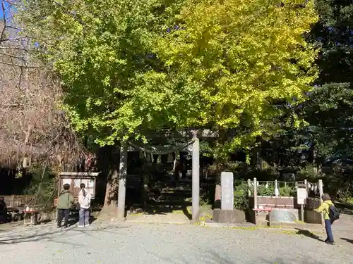 葛原岡神社(神奈川県)