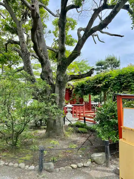 旗上弁財天社の自然