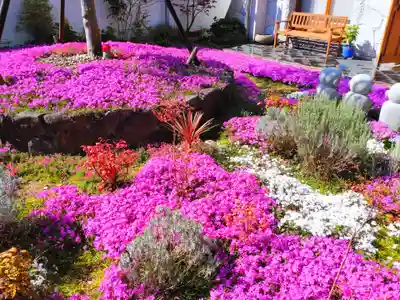 寿量山 速成寺(奈良県)