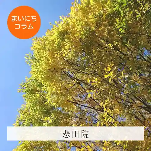 壽徳寺 じゅとくじ(福島県)