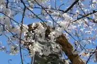 伊勢山皇大神宮の自然