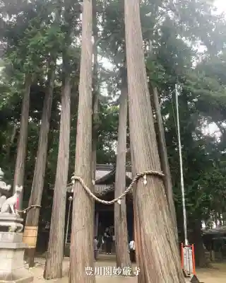 豊川閣　妙厳寺(愛知県)
