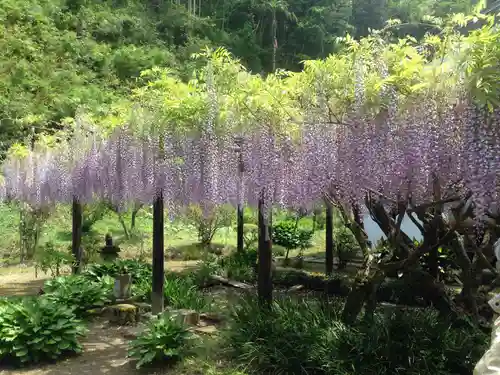 妙福寺(千葉県)