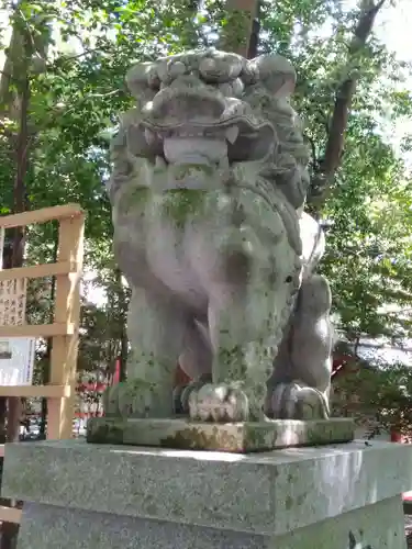 椿大神社の狛犬