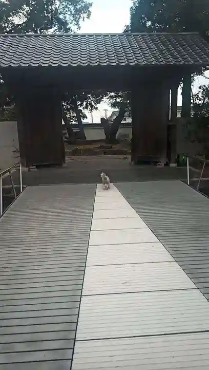 法善寺の山門・神門