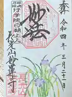 妙蓮寺の御朱印