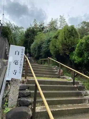 白毫寺(奈良県)