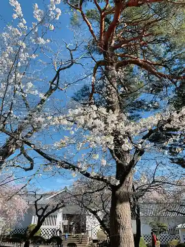 糠部神社(青森県)