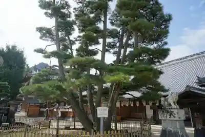 大願寺の本殿・本堂