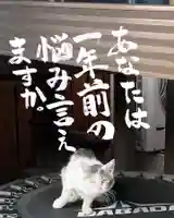 専念寺(大阪府)